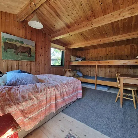 Ferienhaus Near Hald With Large Garden *